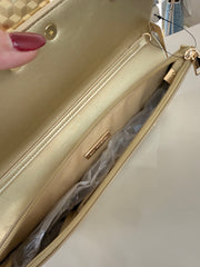 FASHION  CLUTCH BAG